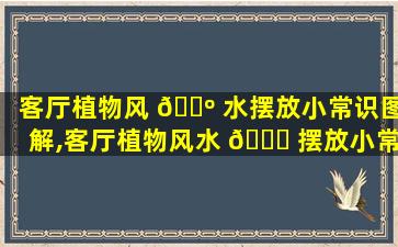 客厅植物风 🌺 水摆放小常识图解,客厅植物风水 🐛 摆放小常识图解*